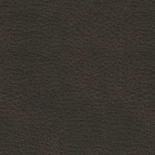 Load image into Gallery viewer, Femley Recliner