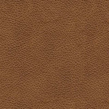 Load image into Gallery viewer, Carianna Sofa