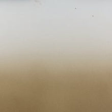 Load image into Gallery viewer, Acario Jar