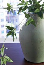 Load image into Gallery viewer, Baychester Vase