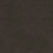 Load image into Gallery viewer, Femley Recliner