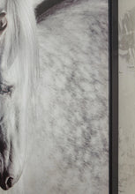 Load image into Gallery viewer, Archerwick Wall Art
