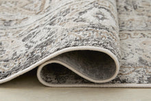 Load image into Gallery viewer, Junley Rug
