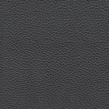 Load image into Gallery viewer, Bolsena Sofa Sleeper
