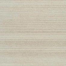 Load image into Gallery viewer, Emorymore Rug
