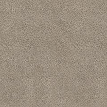 Load image into Gallery viewer, Narwhal Place Reclining Loveseat - 46 Furniture and Mattress Gallery
