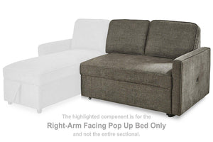 Kerle 2-Piece Sectional with Pop Up Bed - 46 Furniture and Mattress Gallery