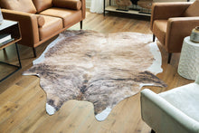 Load image into Gallery viewer, Sportsmen 6&#39;5&quot; x 7&#39;11&quot; Rug - 46 Furniture and Mattress Gallery
