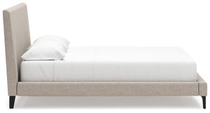 Cielden Upholstered Bed with Roll Slats - 46 Furniture and Mattress Gallery