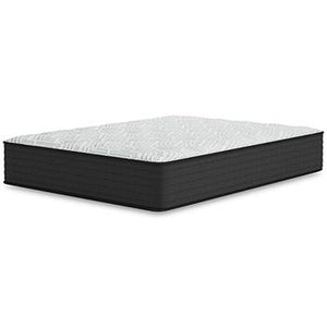 Palisades Firm Mattress - 46 Furniture and Mattress Gallery