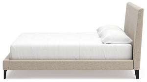 Cielden Upholstered Bed with Roll Slats - 46 Furniture and Mattress Gallery