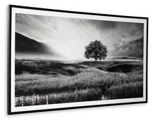 Load image into Gallery viewer, Deborland Wall Art - 46 Furniture and Mattress Gallery
