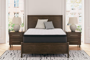 Limited Edition PT Mattress - 46 Furniture and Mattress Gallery