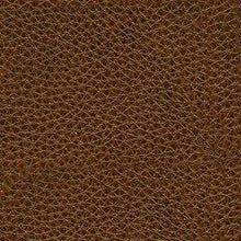 Load image into Gallery viewer, Francesca Power Recliner - 46 Furniture and Mattress Gallery
