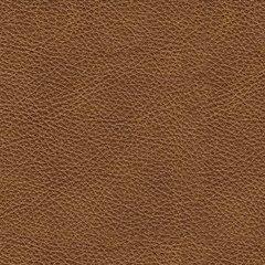 Carianna Sofa - 46 Furniture and Mattress Gallery