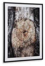 Load image into Gallery viewer, Freyburn Wall Art - 46 Furniture and Mattress Gallery
