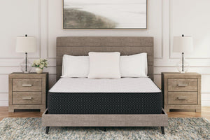Limited Edition Plush Mattress - 46 Furniture and Mattress Gallery