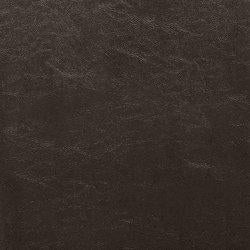 Kimonte Dining Chair - 46 Furniture and Mattress Gallery