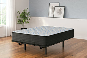 Elite Springs Plush Mattress - 46 Furniture and Mattress Gallery