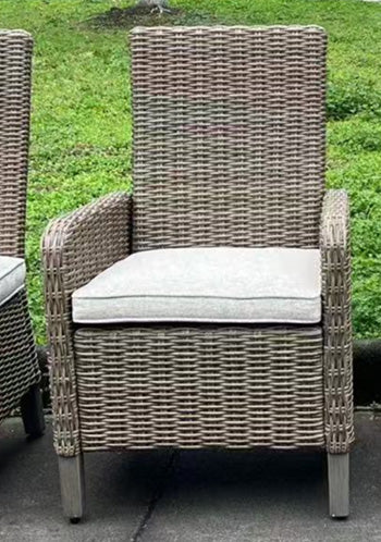 Laguna Heights Arm Chair with Cushion (Set of 2) - 46 Furniture and Mattress Gallery