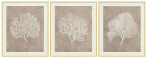 Hendridge Wall Art (Set of 3) - 46 Furniture and Mattress Gallery
