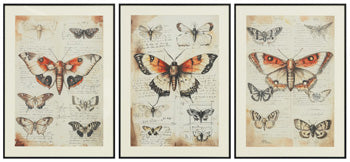 Jossletts Wall Art (Set of 3) - 46 Furniture and Mattress Gallery