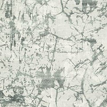 Load image into Gallery viewer, Tobinbury Washable Area Rug - 46 Furniture and Mattress Gallery
