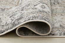 Load image into Gallery viewer, Junley Rug
