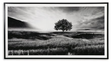 Load image into Gallery viewer, Deborland Wall Art
